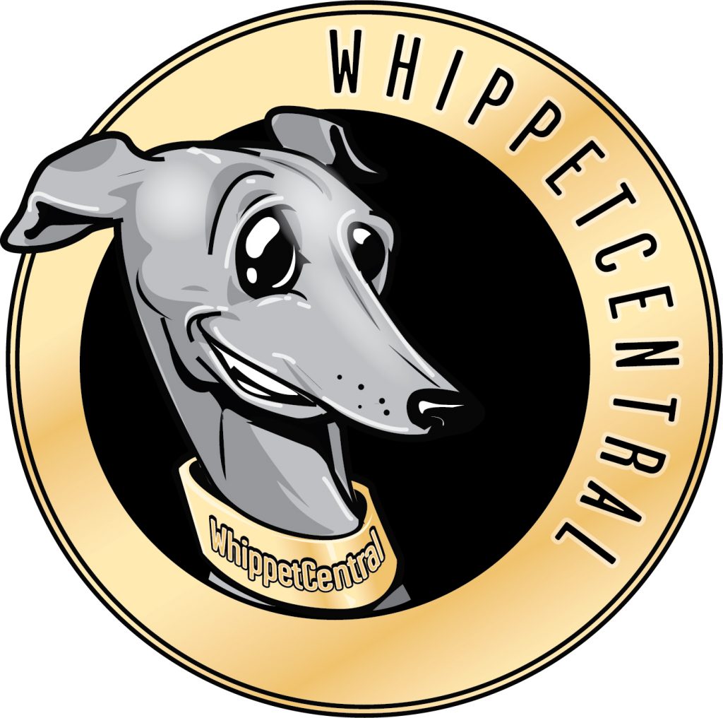 whippetcentral about us