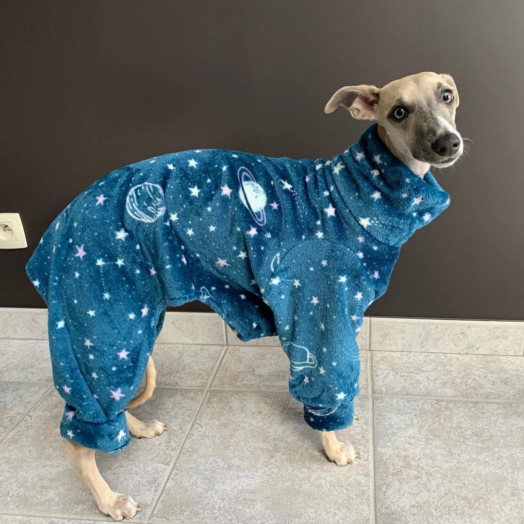 whippet pajamas