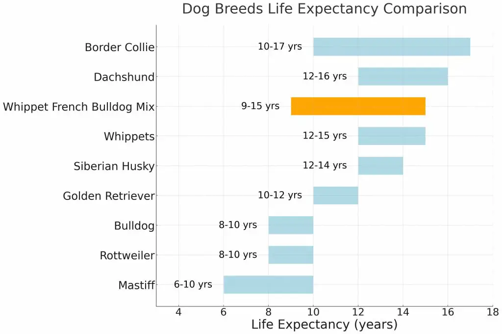Whippet French Bulldog Mix Life Expectancy Comparison Chart