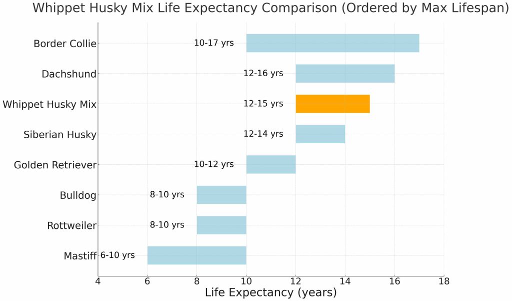 Whippet Husky Mix Dog Breed Life Expectancy Comparison Chart