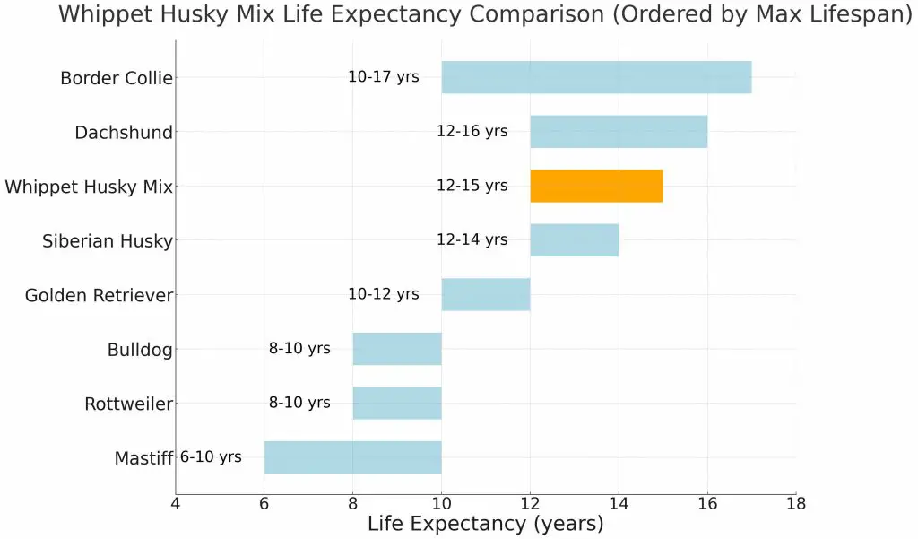 Whippet Husky Mix Dog Breed Life Expectancy Comparison Chart