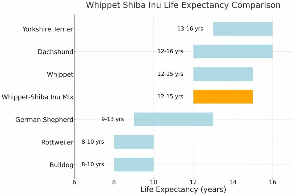 Whippet Shiba Inu Mix Life Expectancy Comparison Chart