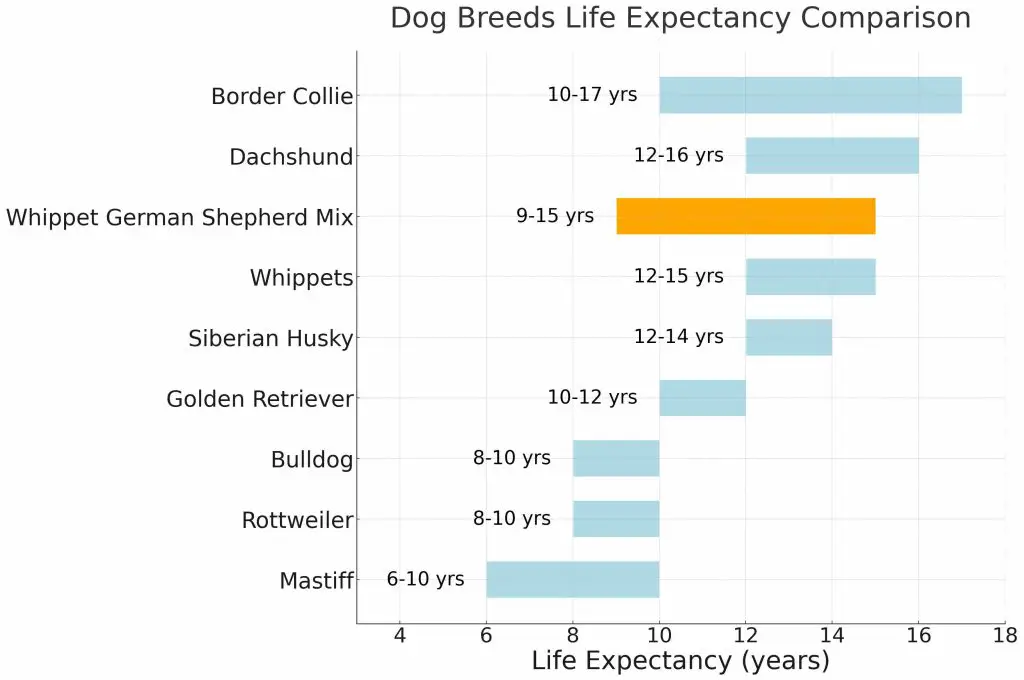 Whippet German Shepherd Mix Life Expectancy Chart