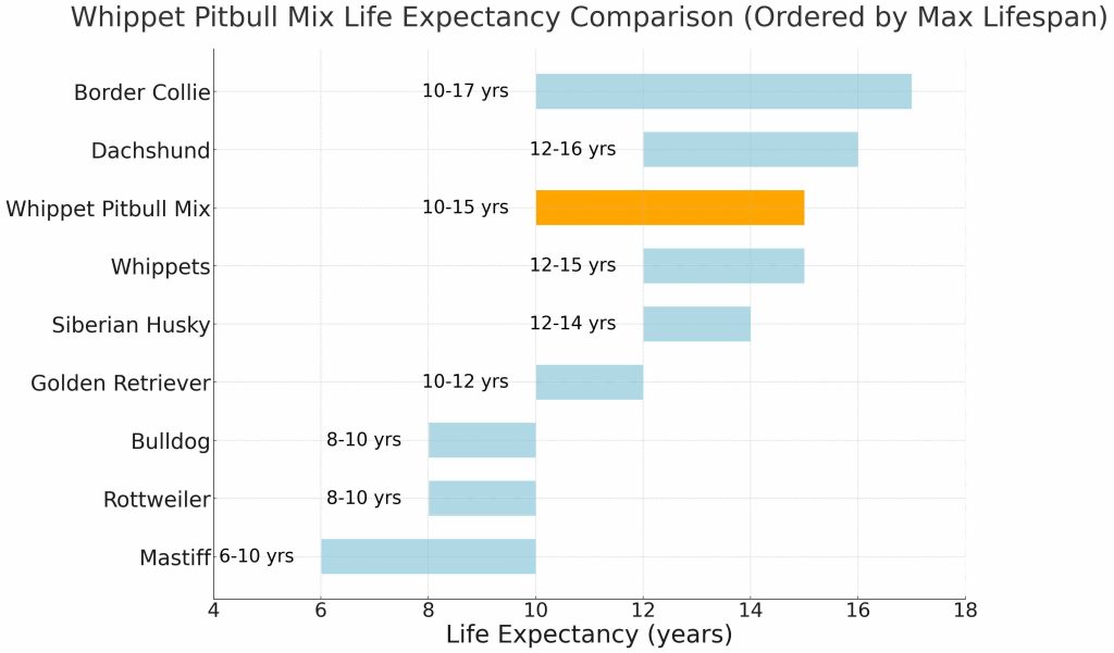 Whippet Pitbull Life Expectancy Comparison Chart
